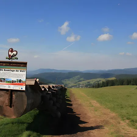 Pensión Gloecklehof Todtnau