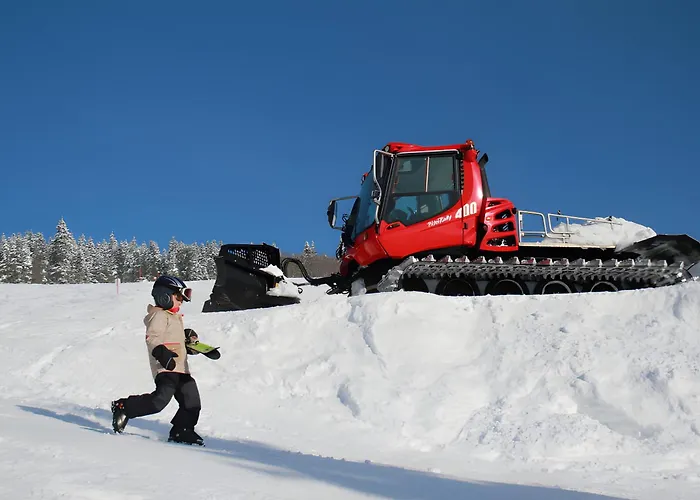 Gloecklehof ゲストハウス