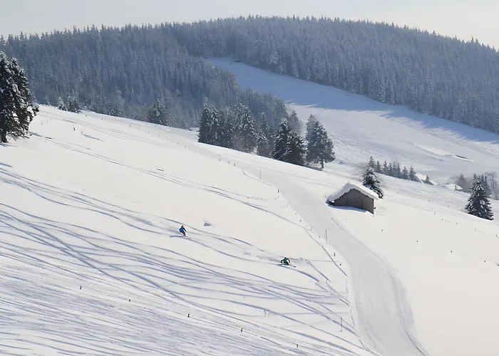 ゲストハウス Gloecklehof 3*