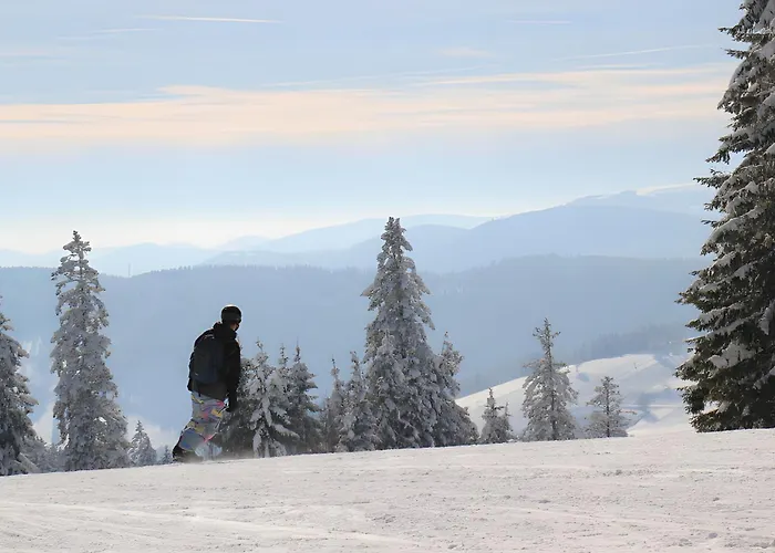 Gloecklehof トートナウ