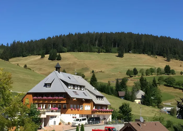 Gloecklehof 3* トートナウ