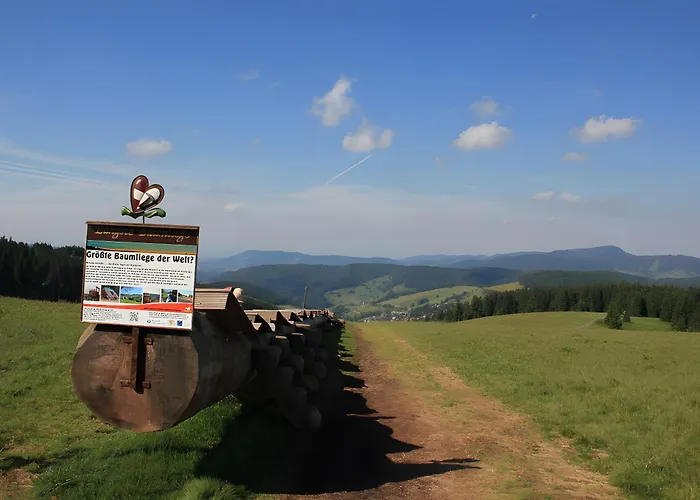 Gloecklehof ゲストハウス