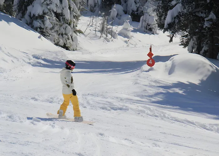 ゲストハウス Gloecklehof トートナウ