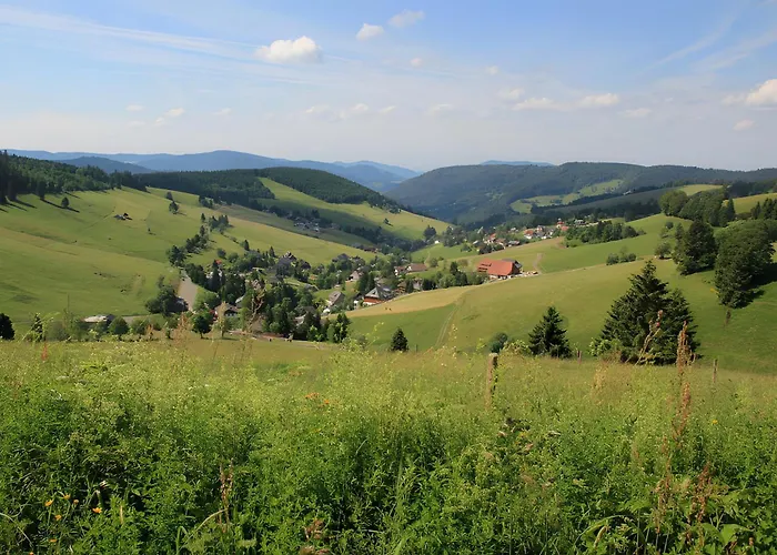 Gloecklehof ゲストハウス トートナウ